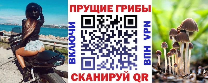 Галлюциногенные грибы мицелий  купить наркотик  Иланский 